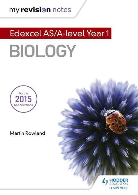 Book cover of Edexcel AS / A-level Year 1 - Biology B (PDF)