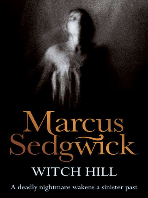 Book cover of Witch Hill