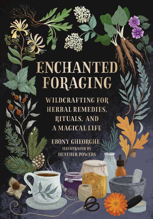 Book cover of Enchanted Foraging: Wildcrafting for Herbal Remedies, Rituals, and a Magical Life