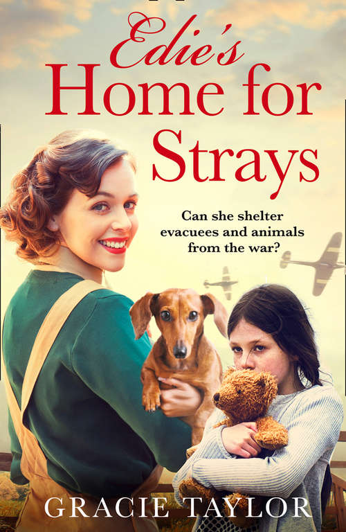Book cover of Edie’s Home for Strays