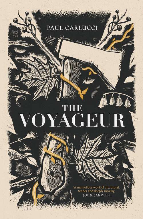 Book cover of The Voyageur: 'Marvellous work of art' John Banville