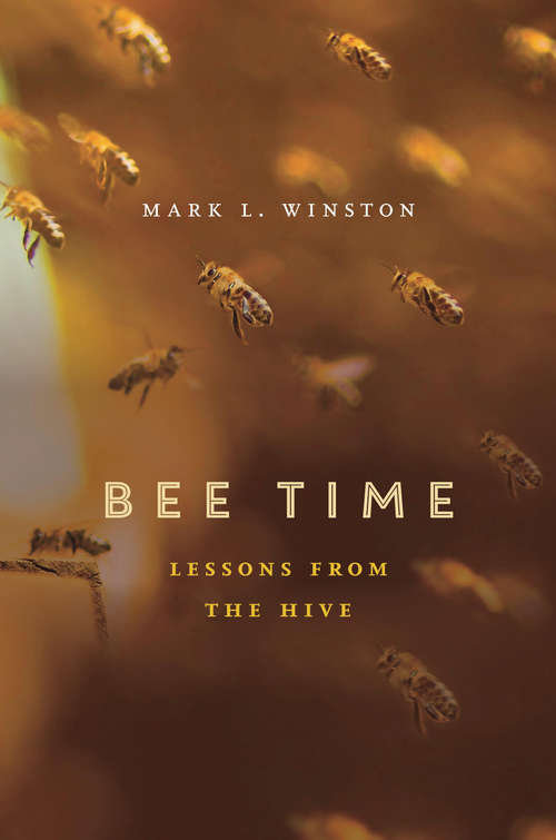 Book cover of Bee Time: Lessons from the Hive