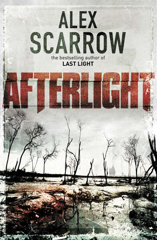 Book cover of Afterlight: n/a