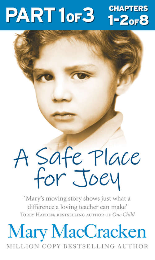 Book cover of A Safe Place for Joey: Part 1 of 3 (ePub edition)