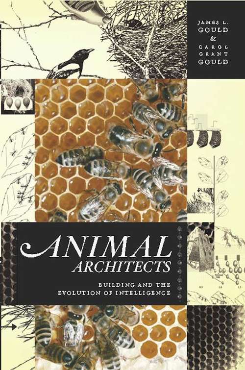 Book cover of Animal Architects: Building and the Evolution of Intelligence