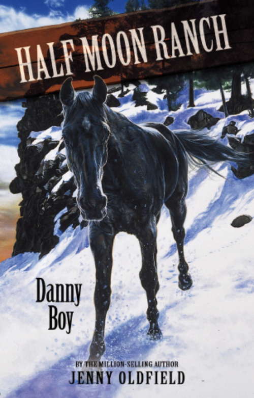 Book cover of Danny Boy: Book 9 (Horses of Half Moon Ranch: No. 9)