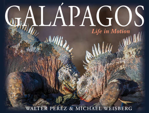 Book cover of Galápagos: Life in Motion
