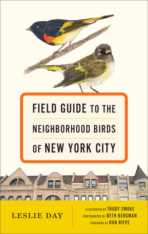 Book cover of Field Guide to the Neighborhood Birds of New York City