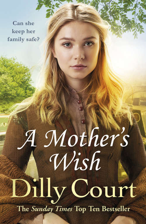 Book cover of A Mother's Wish