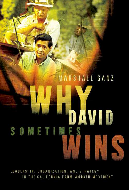 Book cover of Why David Sometimes Wins: Leadership, Organization, and Strategy in the California Farm Worker Movement