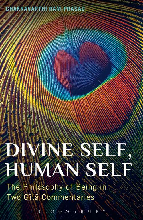 Book cover of Divine Self, Human Self: The Philosophy of Being in Two Gita Commentaries