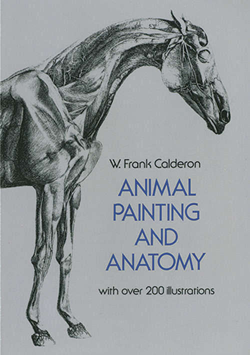 Book cover of Animal Painting and Anatomy
