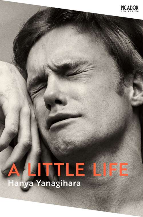 Book cover of A Little Life: Shortlisted for the Man Booker Prize 2015 (Picador Collection)