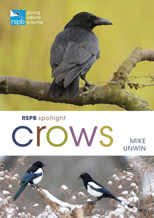 Book cover of RSPB Spotlight Crows (RSPB)