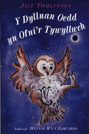 Book cover of Y Dylluan Oedd yn Ofni'r Tywyllwch