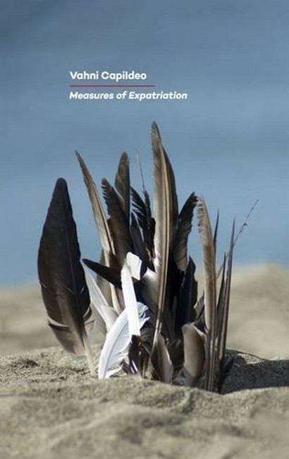 Book cover of Measures of Expatriation (PDF)