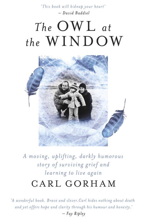 Book cover of The Owl at the Window: A memoir of loss and hope