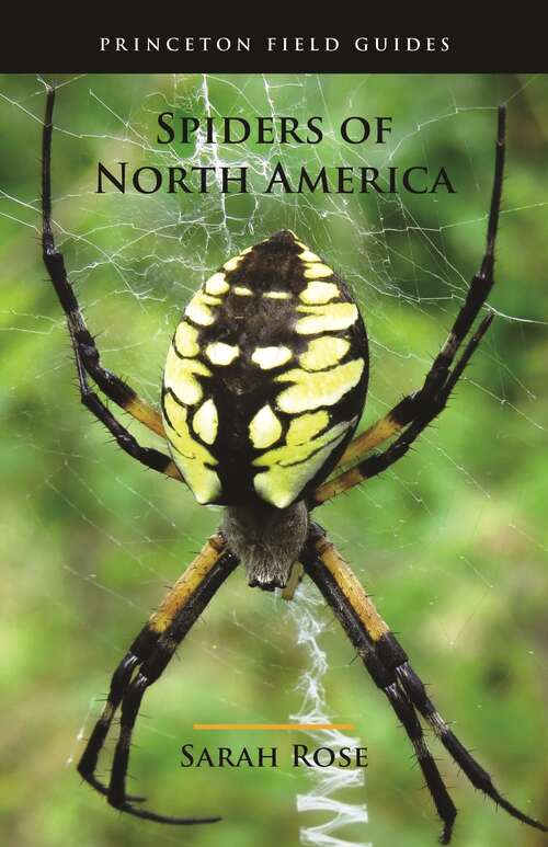 Book cover of Spiders of North America (Princeton Field Guides #154)