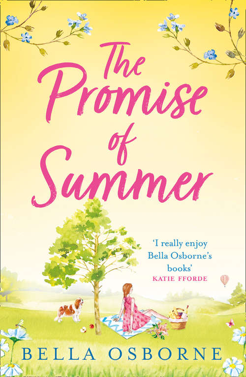 Book cover of The Promise of Summer
