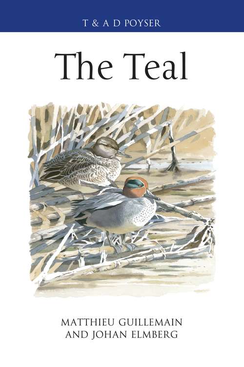 Book cover of The Teal