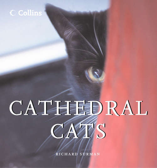 Book cover of Cathedral Cats (ePub edition)