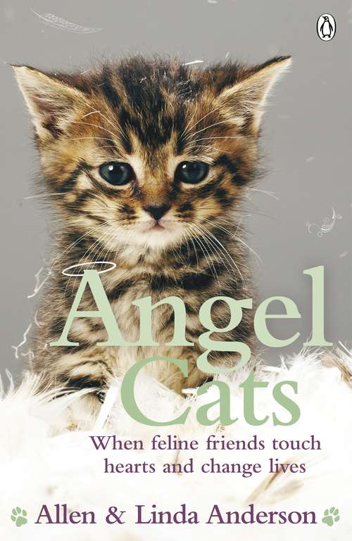 Book cover of Angel Cats: When feline friends touch hearts and change lives