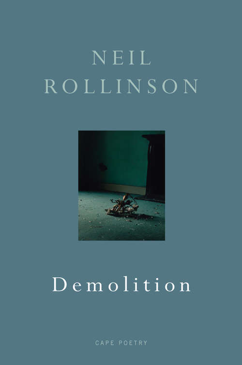 Book cover of Demolition (Cape Poetry Ser.)