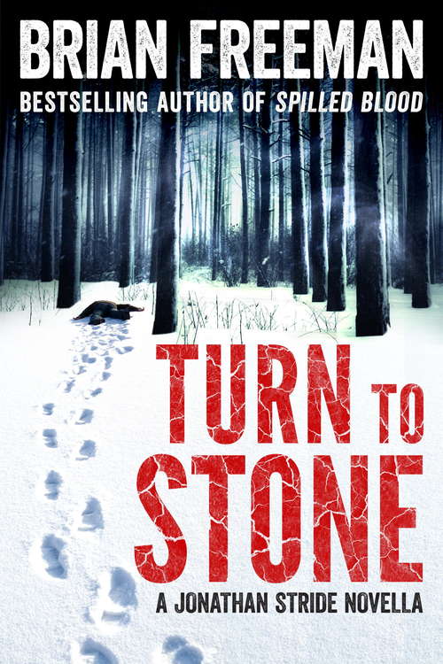 Book cover of Turn to Stone: A Jonathan Stride Novella (Jonathan Stride Ser.)