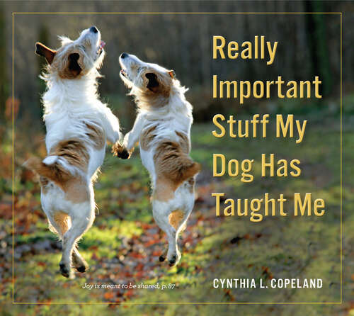 Book cover of Really Important Stuff My Dog Has Taught Me