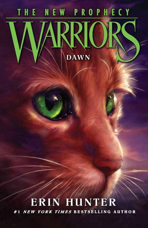 Book cover of DAWN (ePub edition) (Warriors: The New Prophecy #3)