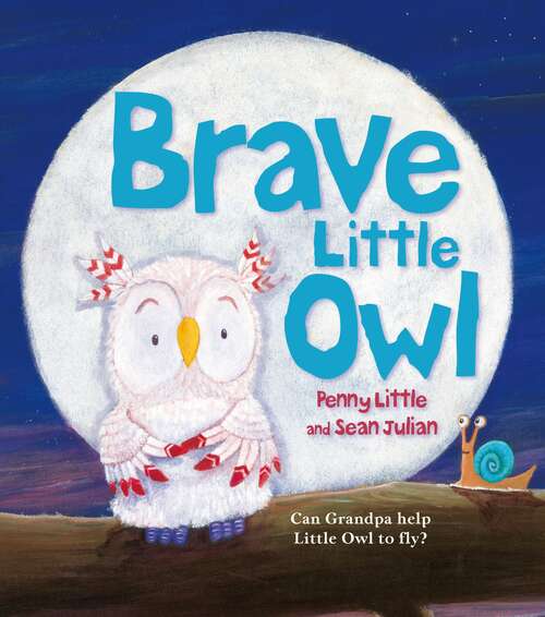 Book cover of Brave Little Owl