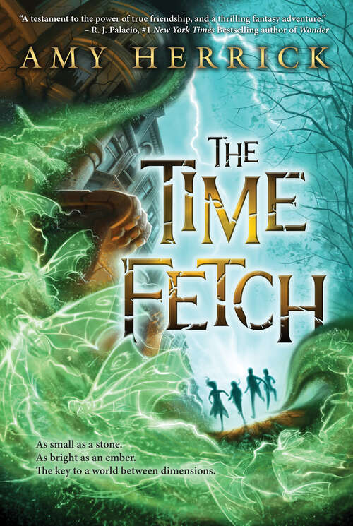 Book cover of The Time Fetch