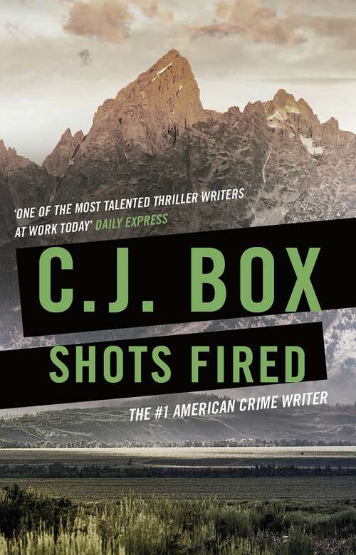 Book cover of Shots Fired: An Anthology of Crime Stories