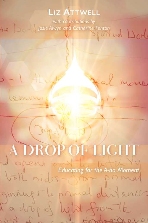 Book cover of A Drop of Light: Educating for the A-ha Moment