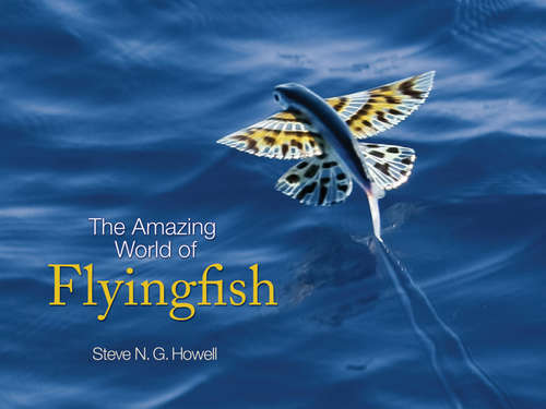 Book cover of The Amazing World of Flyingfish