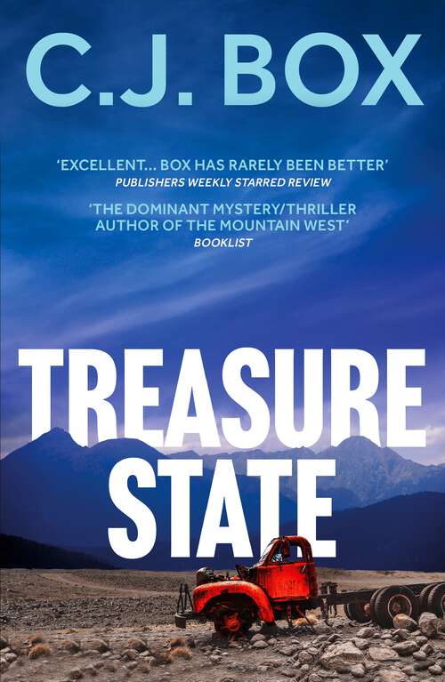 Book cover of Treasure State (Cassie Dewell)