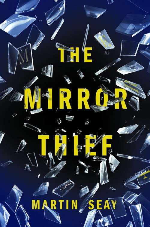 Book cover of The Mirror Thief