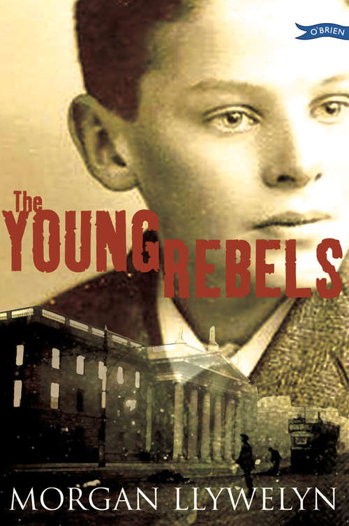 Book cover of The Young Rebels