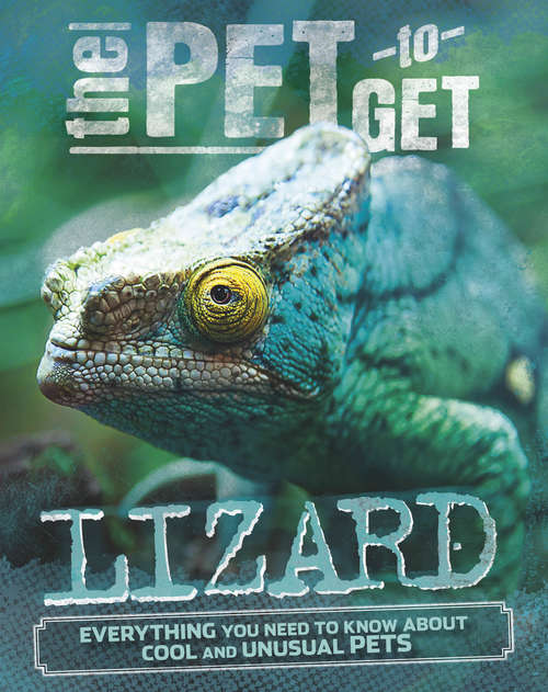 Book cover of Lizard: Lizard (The Pet to Get #1)