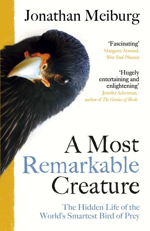 Book cover of A Most Remarkable Creature: The Hidden Life and Epic Journey of the World’s Smartest Bird of Prey