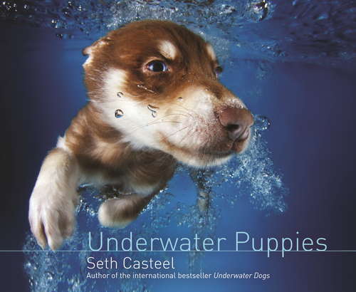 Book cover of Underwater Puppies: An Underwater Dogs Adventure