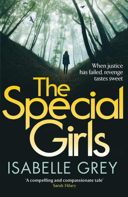 Book cover of The Special Girls: an addictive and heart-stopping crime thriller with a shocking twist (DI Grace Fisher)