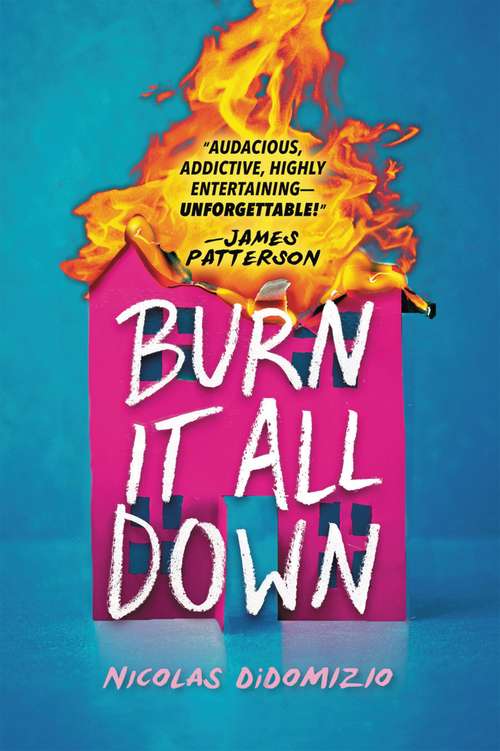 Book cover of Burn It All Down