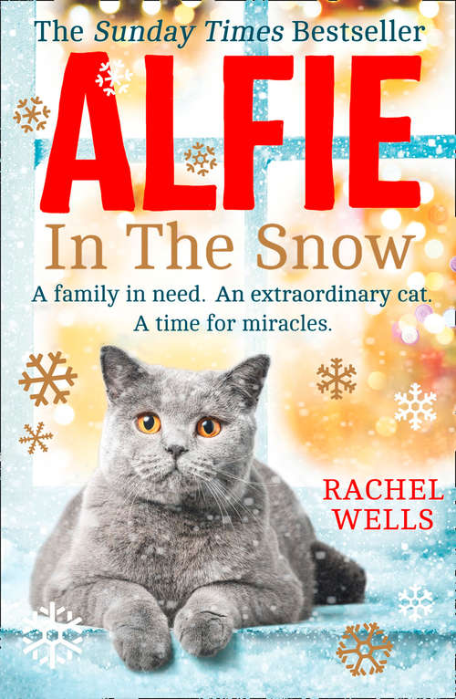 Book cover of Alfie in the Snow (ePub edition)