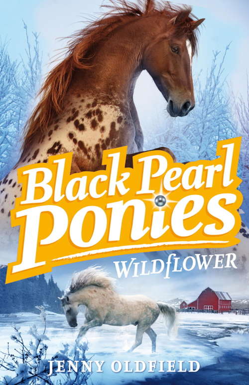 Book cover of Wildflower: Book 2 (Black Pearl Ponies #2)