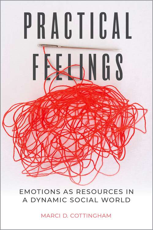 Book cover of Practical Feelings: Emotions as Resources in a Dynamic Social World