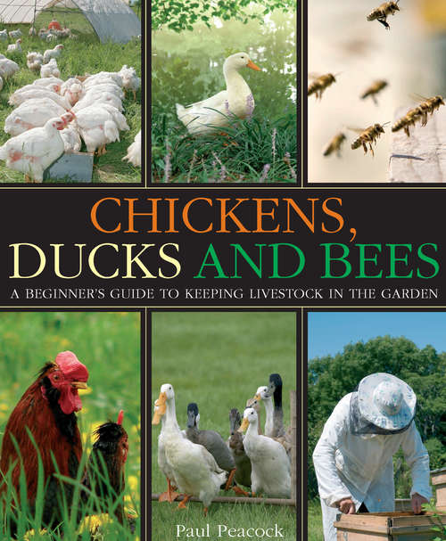 Book cover of Chickens, Ducks and Bees: A beginner's guide to keeping livestock in the garden