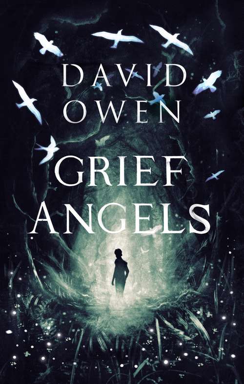 Book cover of Grief Angels