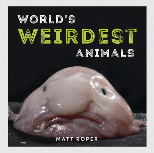 Book cover of World's Weirdest Animals