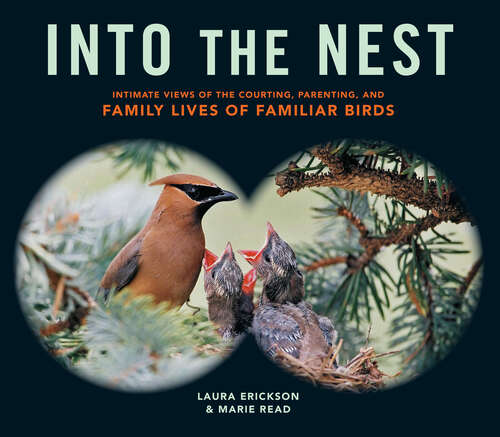 Book cover of Into the Nest: Intimate Views of the Courting, Parenting, and Family Lives of Familiar Birds